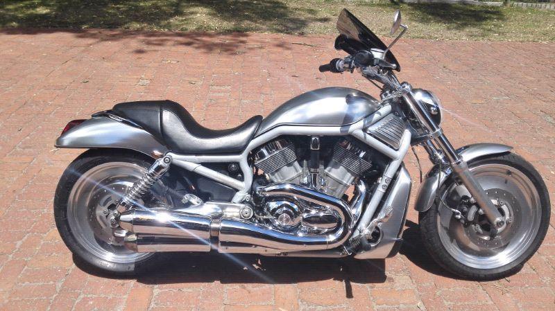Harley Davidson V - Rod 1130 with a lot of extras for sale or to trade
