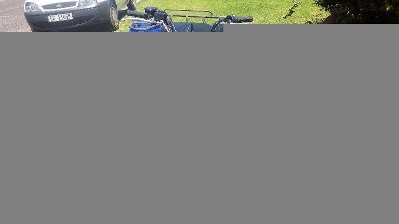 2010 Yamaha grizzly 450