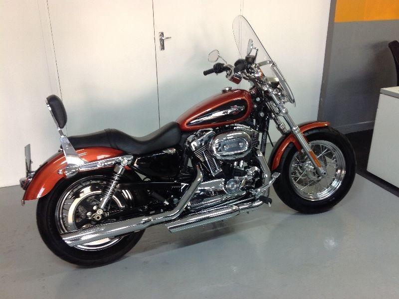 Harley-Davidson Sportster Custom 1200 low km