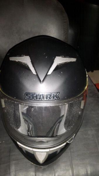 Shark Helmet