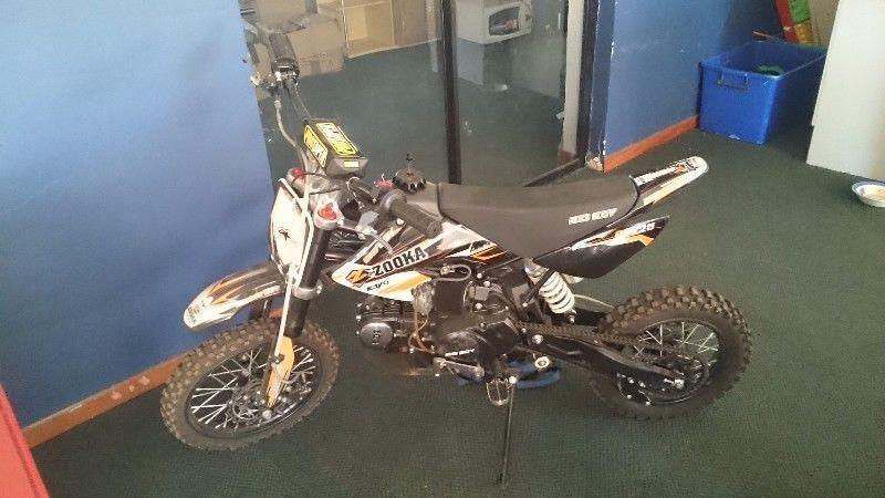 Big boy 125cc pitbike