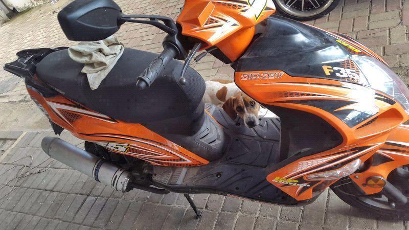 2016 Big Boy 150cc Scooter