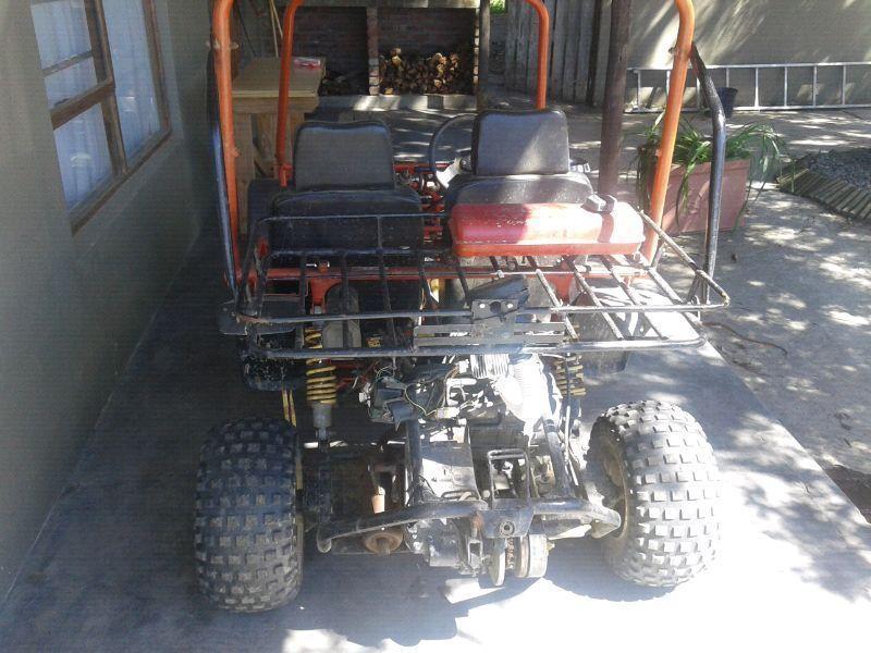 Protrax buggy for sale