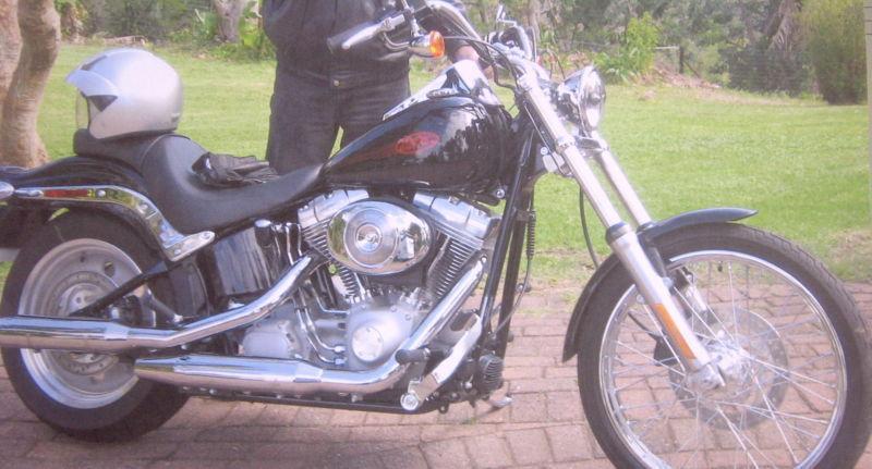 2009 Harley-Davidson Softail