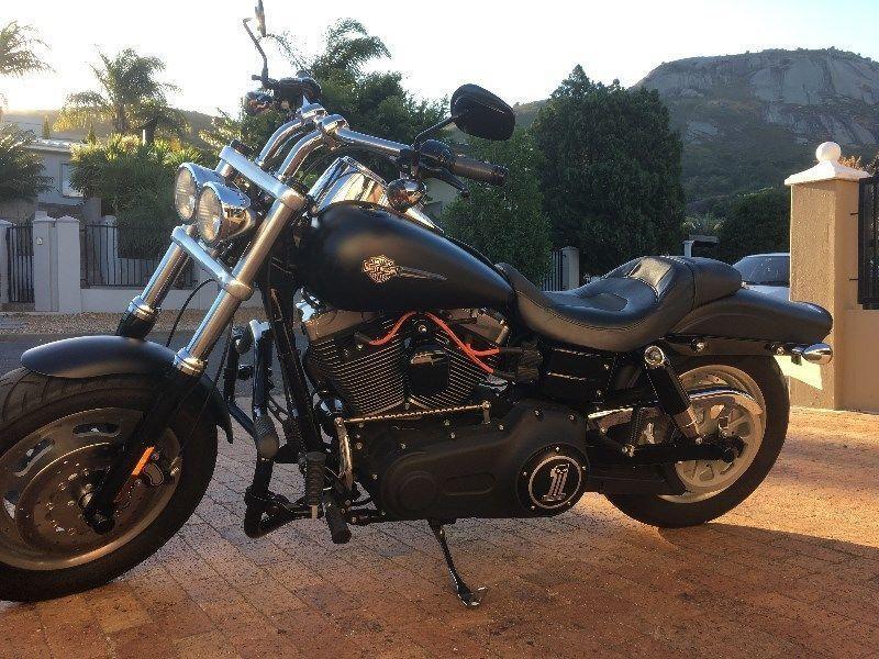 Harley-Davidson Dyna / FXR Fat Bob