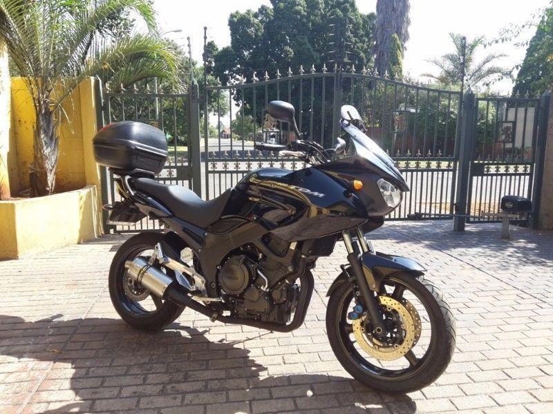 Yamaha TDM 900 in Pristine Condition