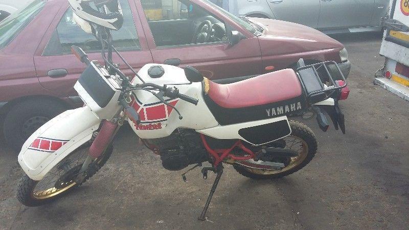 1984 Yamaha XT