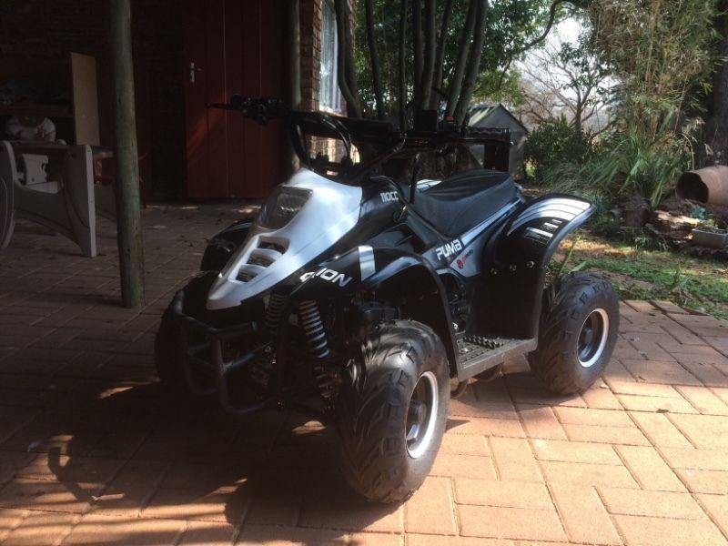 2015 Gomoto kids quad