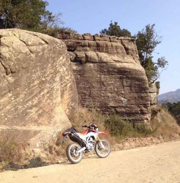 CRF 250 L