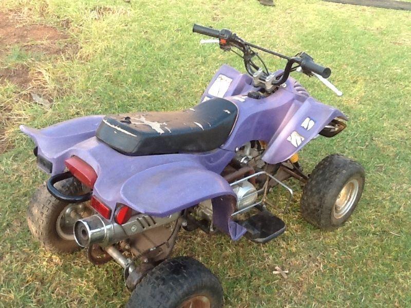 Terminator 50 kiddies quad