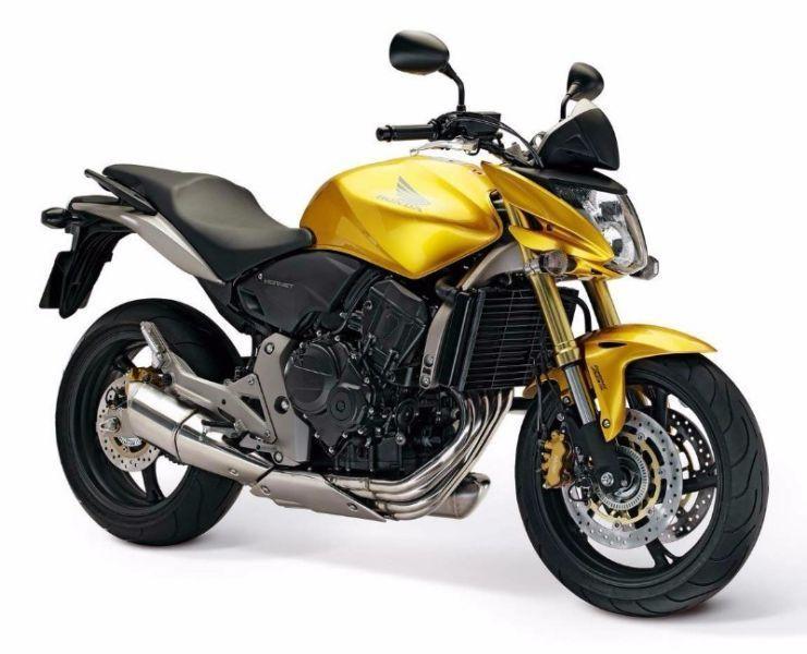 LOOKING FOR - Honda CB 600 2008 & up