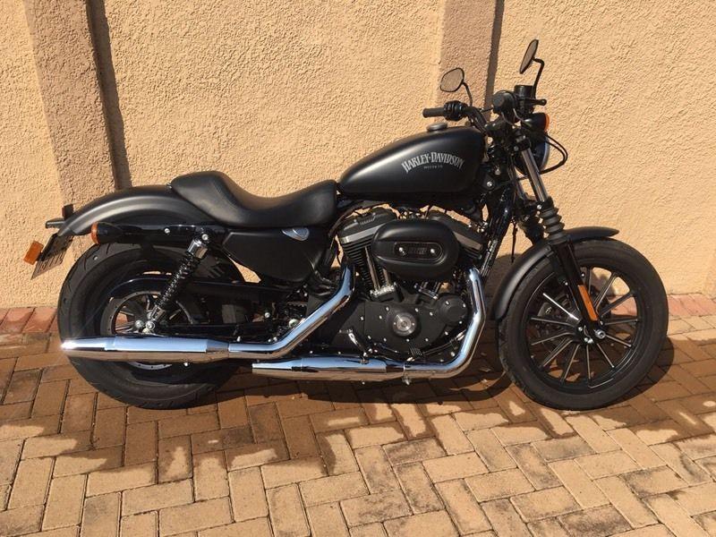 883 Harley Davidson