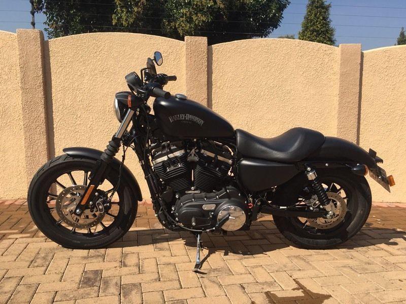 883 Harley Davidson