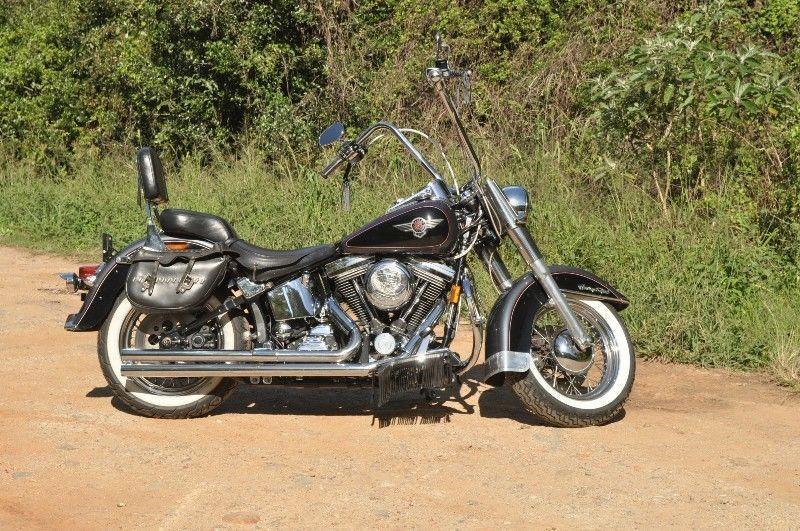 1995 Harley-Davidson Softail