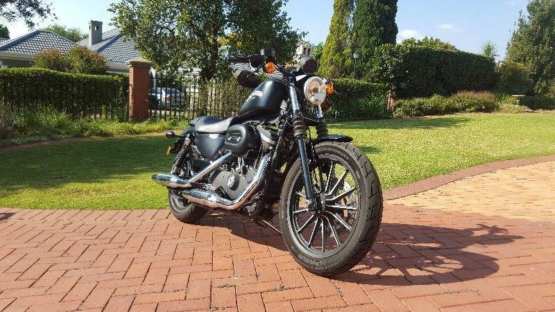 2014 Harley-Davidson Sportster 883 IRON