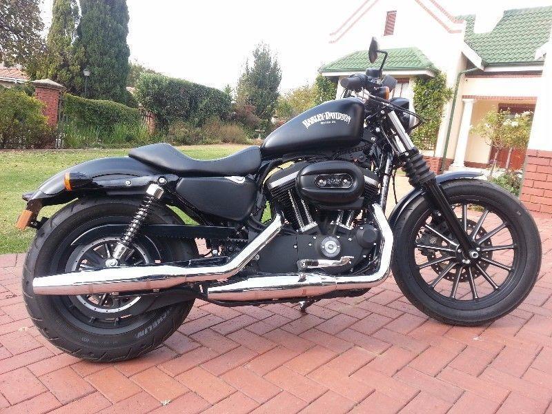 2014 Harley-Davidson Sportster 883 IRON