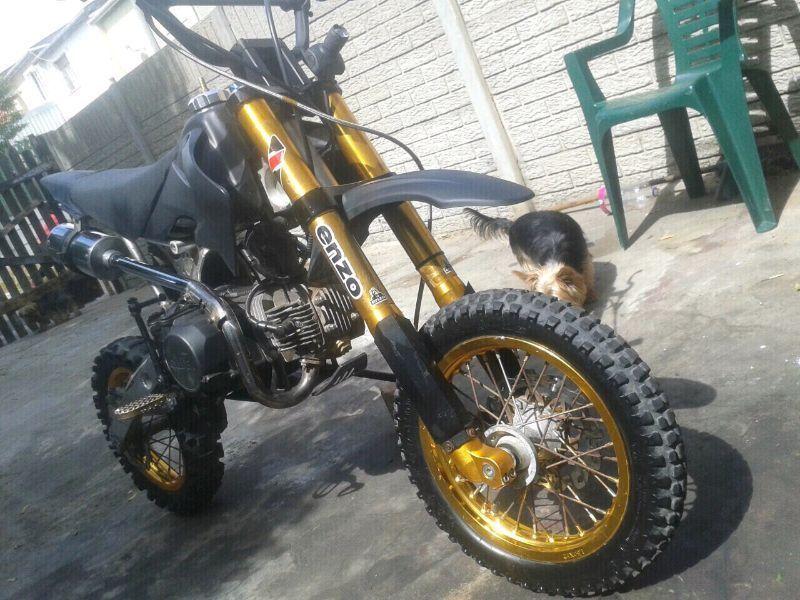 125cc pit bike for only R3800