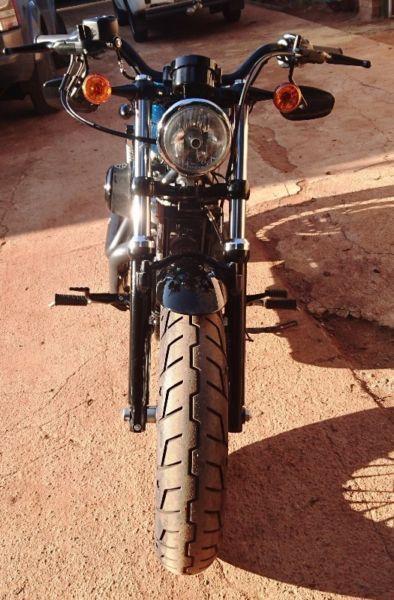 2014 Harley-Davidson Sportster 48
