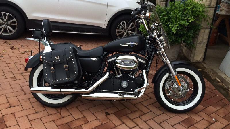 2015 Harley Davidson Sportster Custom XL 1200 with a lot of extras!!!