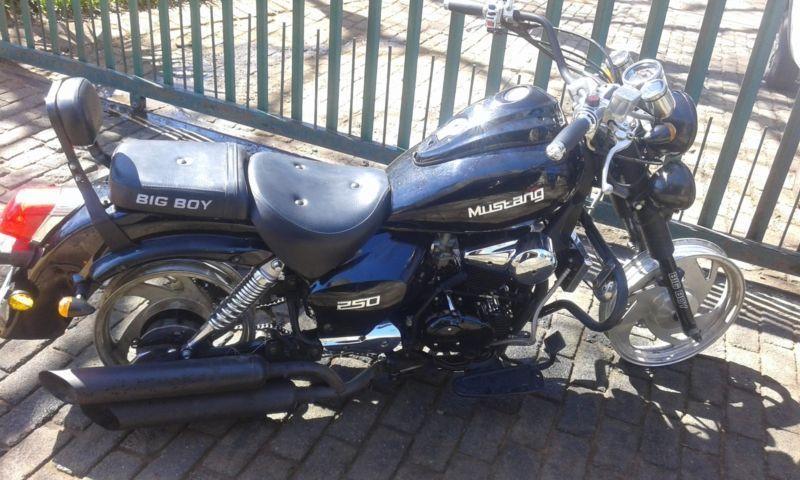 Big boy mustang 250