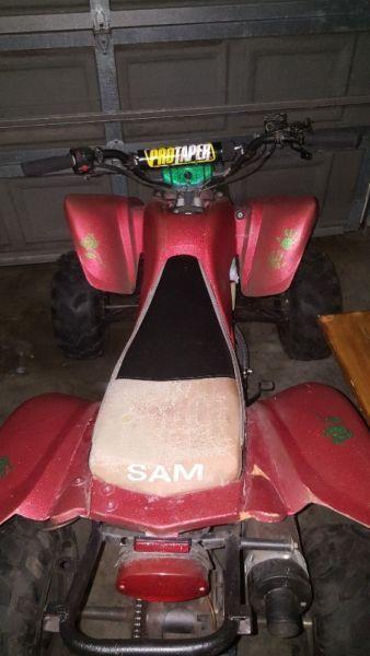 SAM 250cc Quad