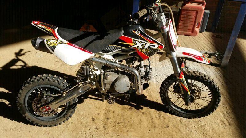 125 pitbike puzey xp