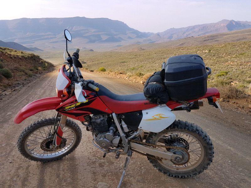 Honda XR250R Dall'Ara