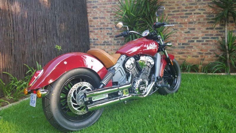 Indian scout for sale
