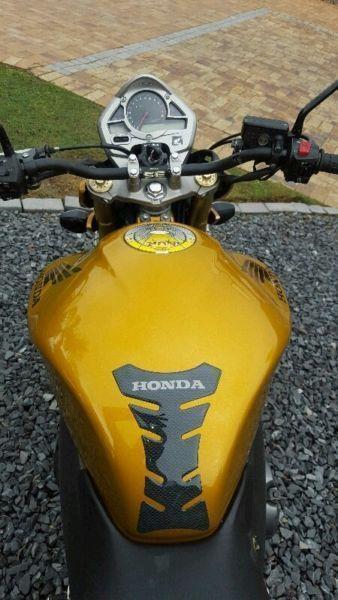 Honda CB600 hornet