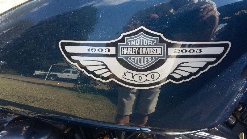 2003 Harley-Davidson XLH 883 Hugger 100 year anniversary