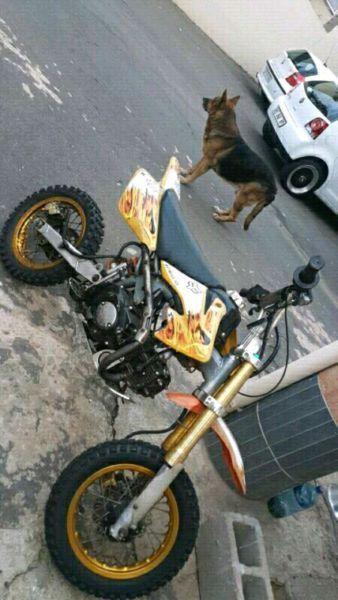 125cc race pitbike for sale