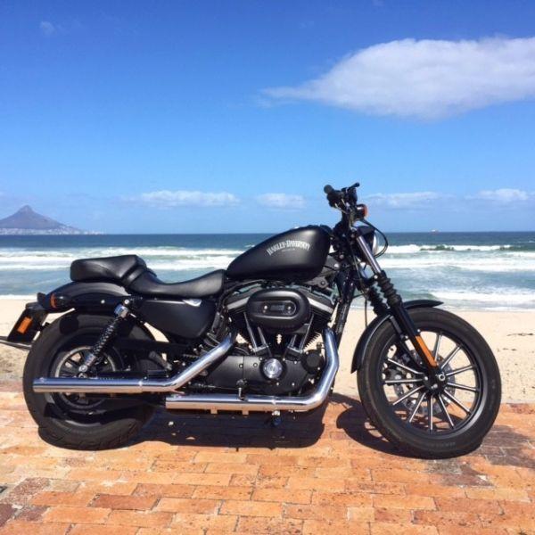 2015 Iron 883 Harley-Davidson Sportster