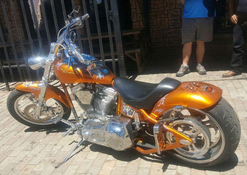 Harley Davidson Custom Softail