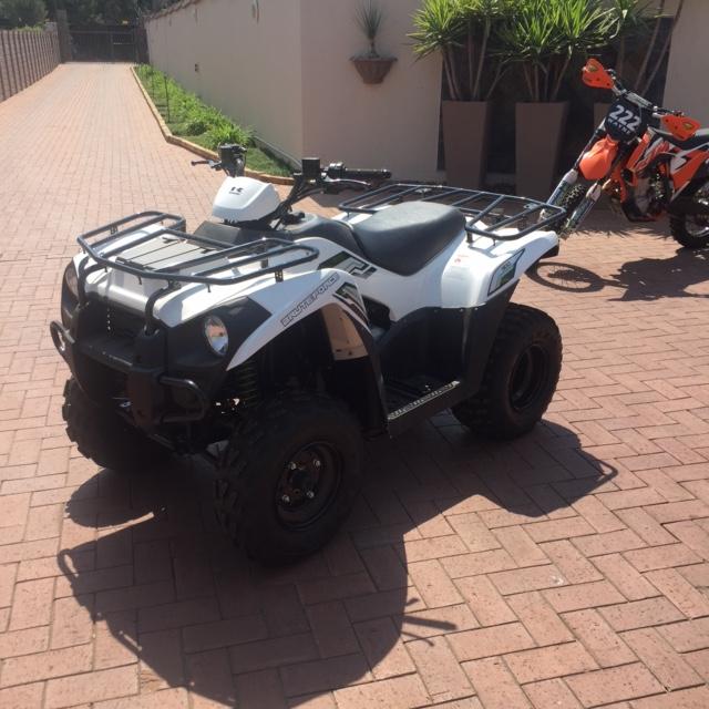 Kawasaki Bruteforce 300 