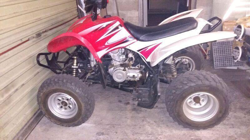 250cc skygo quad for sale