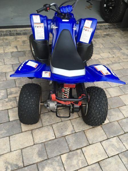 Yamaha Raptor 50 quad