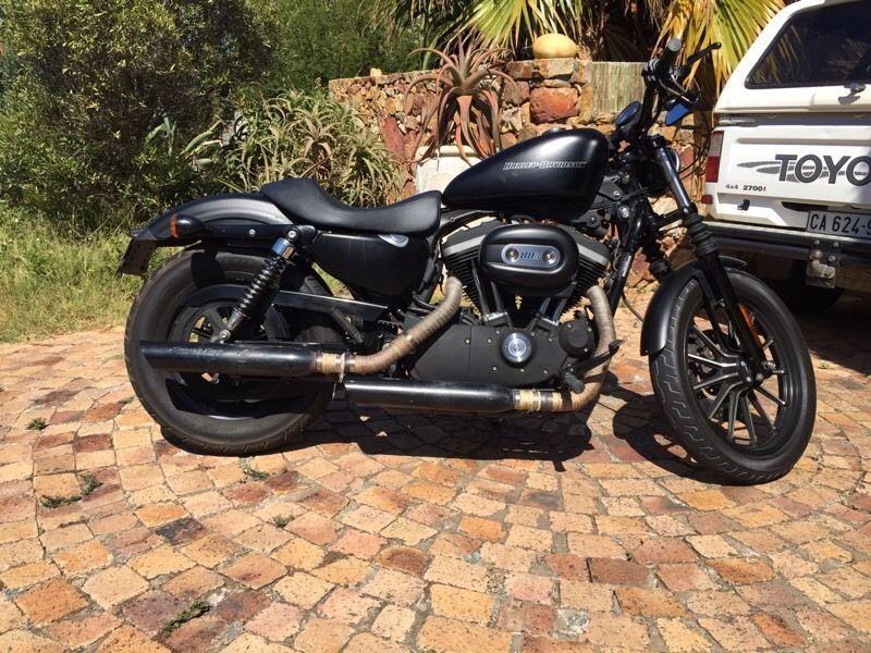 Harley 883 iron