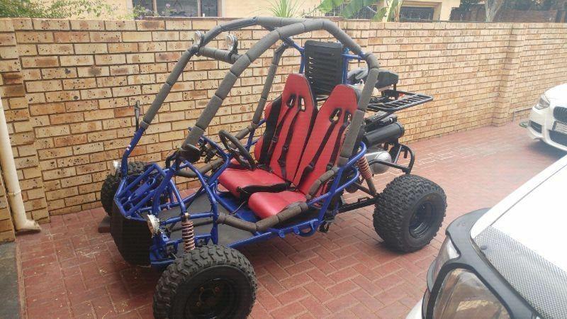 off road buggy wanted