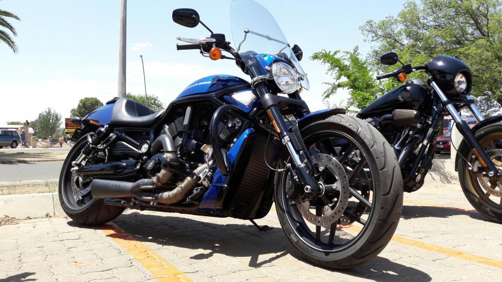 2015 Harley-Davidson Night Rod Special for sale