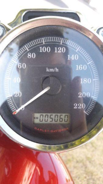 Harley davidson sportster 883 Xl low custom