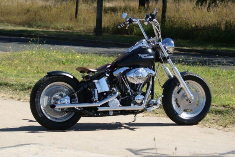 Harley Davidson Fatboy (Custom street bob)