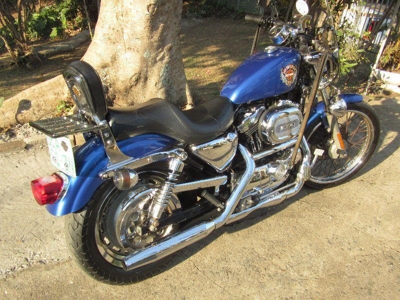 Harley-Davidson 1200 Sportster Custom 2000 excellent condition lots of extras URGENT SALE