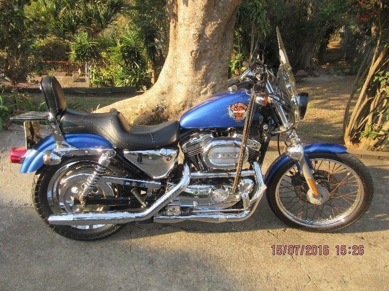 Harley-Davidson 1200 Sportster Custom 2000 excellent condition lots of extras URGENT SALE