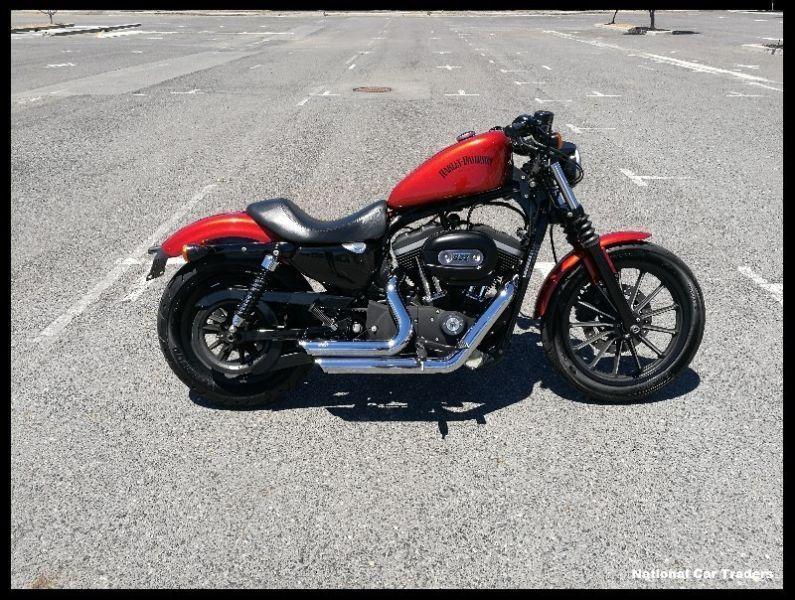 2013 Harley-Davidson Iron 883 * BARGAIN *