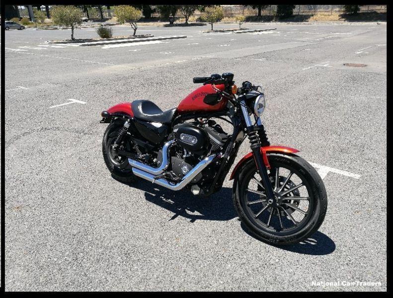 2013 Harley-Davidson Iron 883 * BARGAIN *