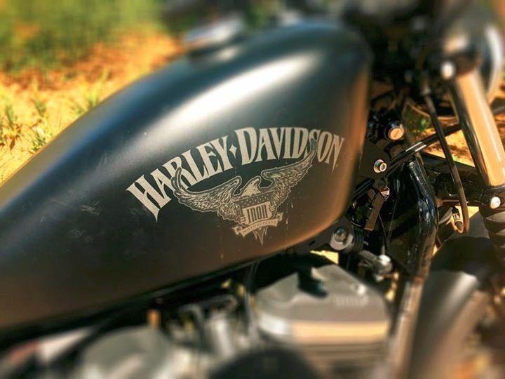 2016 Harley-Davidson Sportster