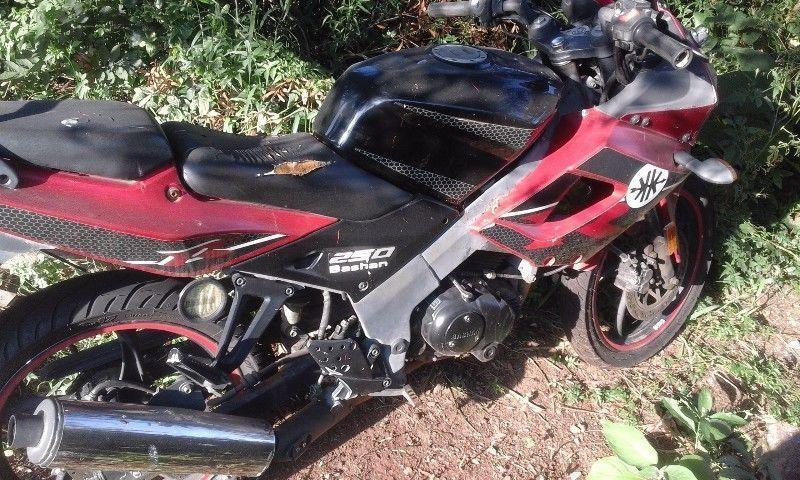 big boy/bashan R250