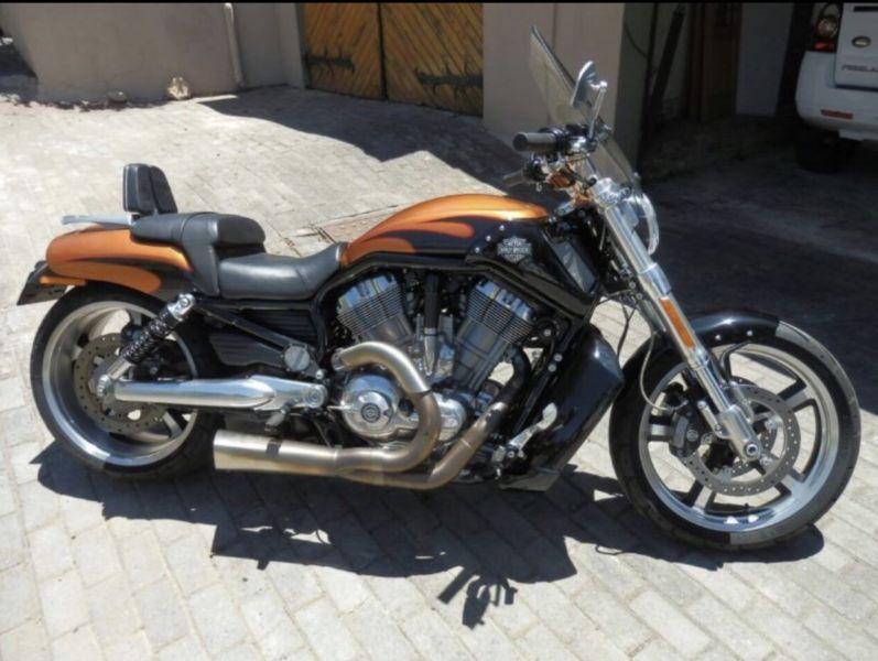 2014 Harley Davidson V-Rod Muscle
