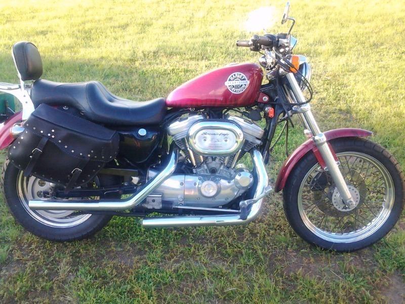 URGENT Harley Davidson sportster 883 for sale or to swop