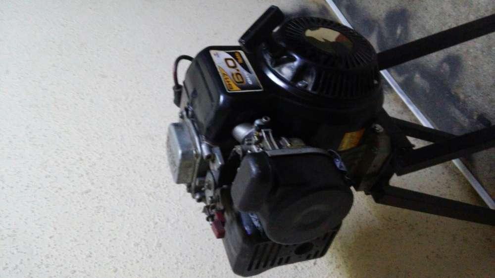 6.0 hp 172cc Robin OHV motor gokart